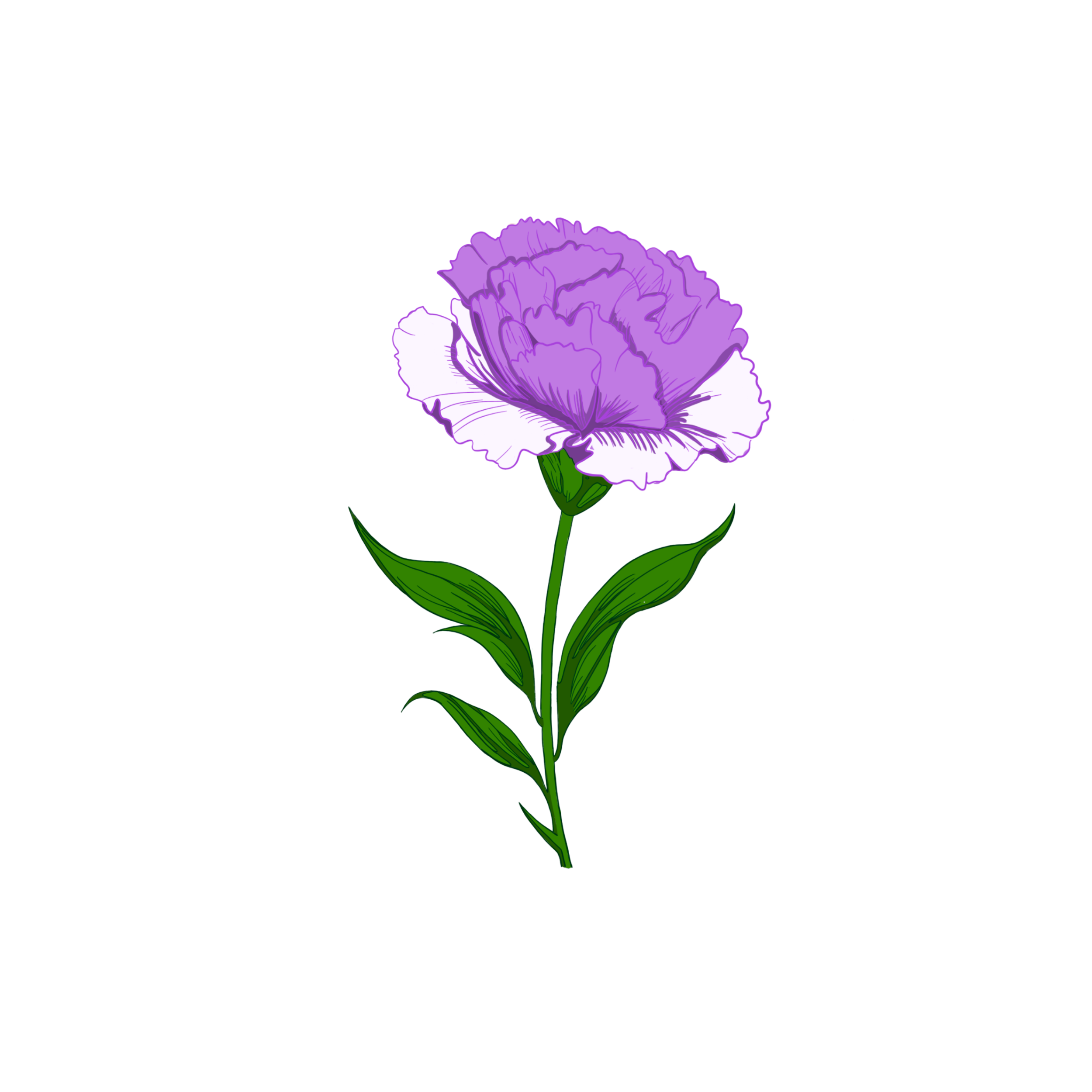 Flower Artwork